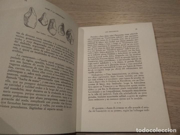 Libros de segunda mano: ADAM Y LA PREHISTORIA. MANUEL G&Oacute;MEZ-MORENO. TECNOS. - Foto 2