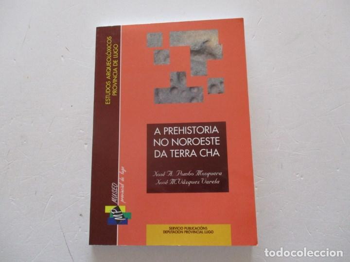 Libros de segunda mano: A prehistoria no noroeste da Terra Cha.   RM87321 - Foto 1