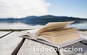 Libros de segunda mano: Mal de ojo. &Aacute;lex Burnman - Foto 1