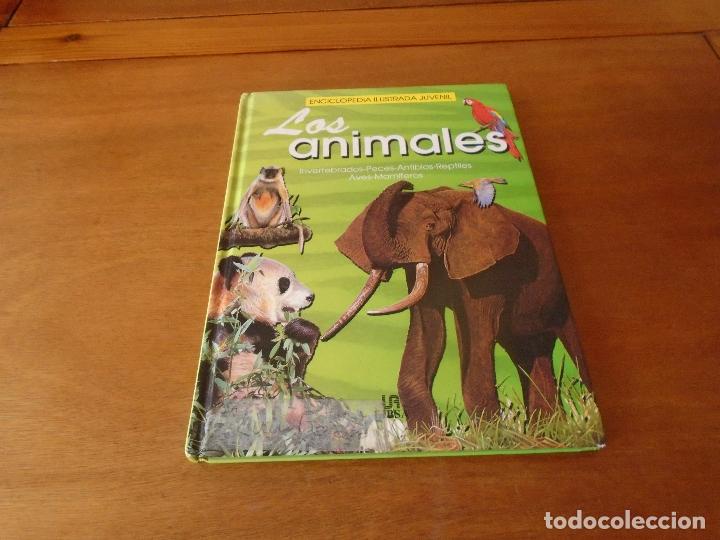 Libros de segunda mano: ENCICLOPEDIA ILUSTRADA JUVENIL. LOS ANIMALES. EDITORIAL LIBSA - Foto 1