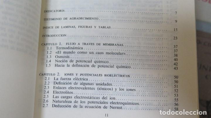 Libros de segunda mano: EL CEREBRO. C. U. M. Smith - Foto 2