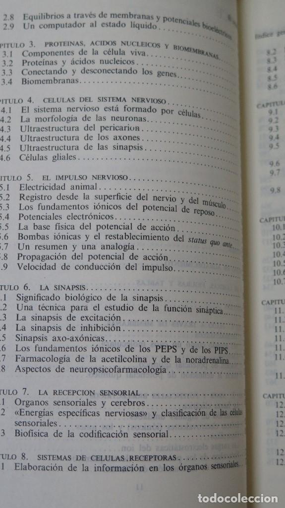Libros de segunda mano: EL CEREBRO. C. U. M. Smith - Foto 3