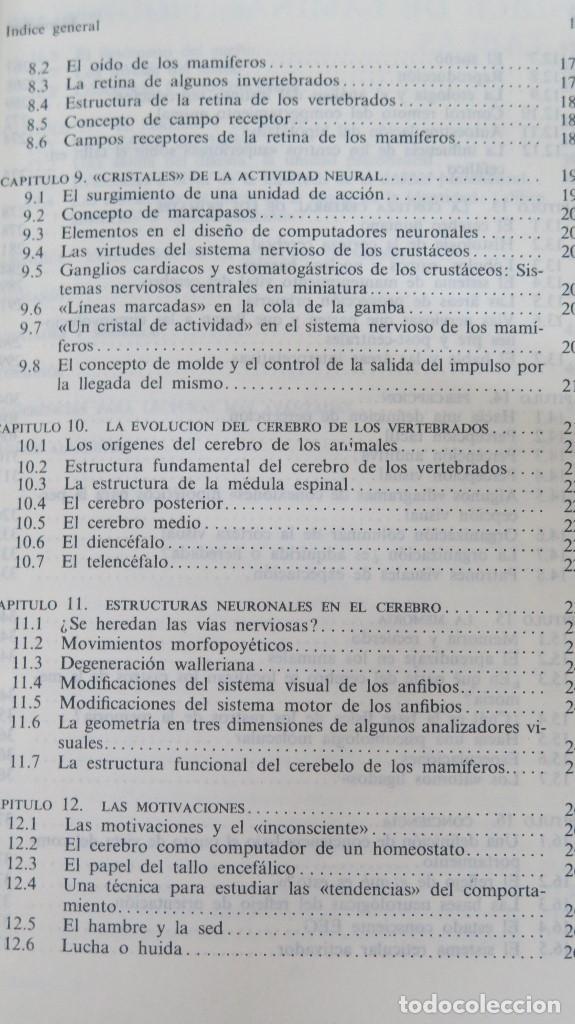 Libros de segunda mano: EL CEREBRO. C. U. M. Smith - Foto 4
