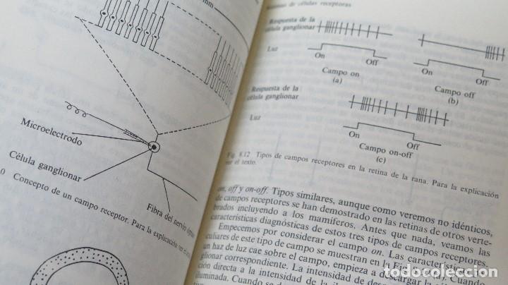 Libros de segunda mano: EL CEREBRO. C. U. M. Smith - Foto 7