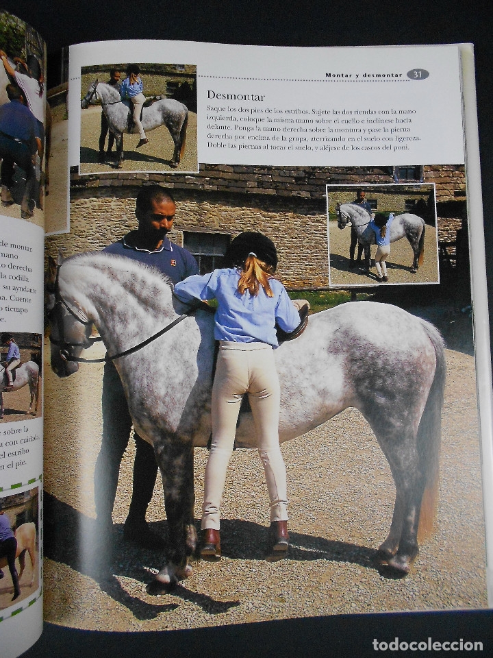 Libros de segunda mano: Caballos y ponis, (Sandy Ransford), Blume 2002 - Foto 4