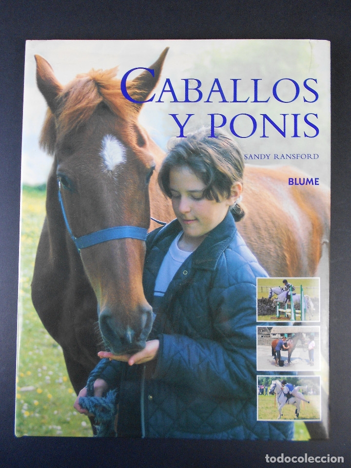 Libros de segunda mano: Caballos y ponis, (Sandy Ransford), Blume 2002 - Foto 1