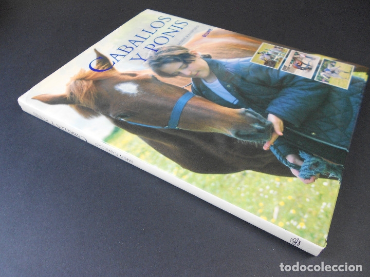 Libros de segunda mano: Caballos y ponis, (Sandy Ransford), Blume 2002 - Foto 2
