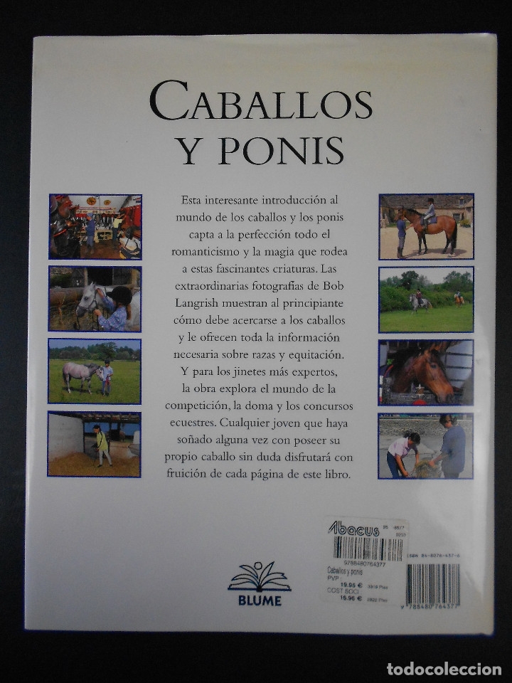 Libros de segunda mano: Caballos y ponis, (Sandy Ransford), Blume 2002 - Foto 3