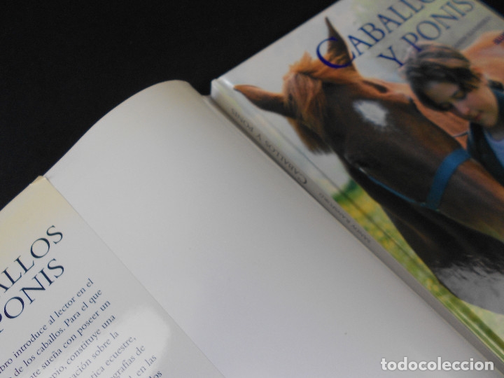 Libros de segunda mano: Caballos y ponis, (Sandy Ransford), Blume 2002 - Foto 5