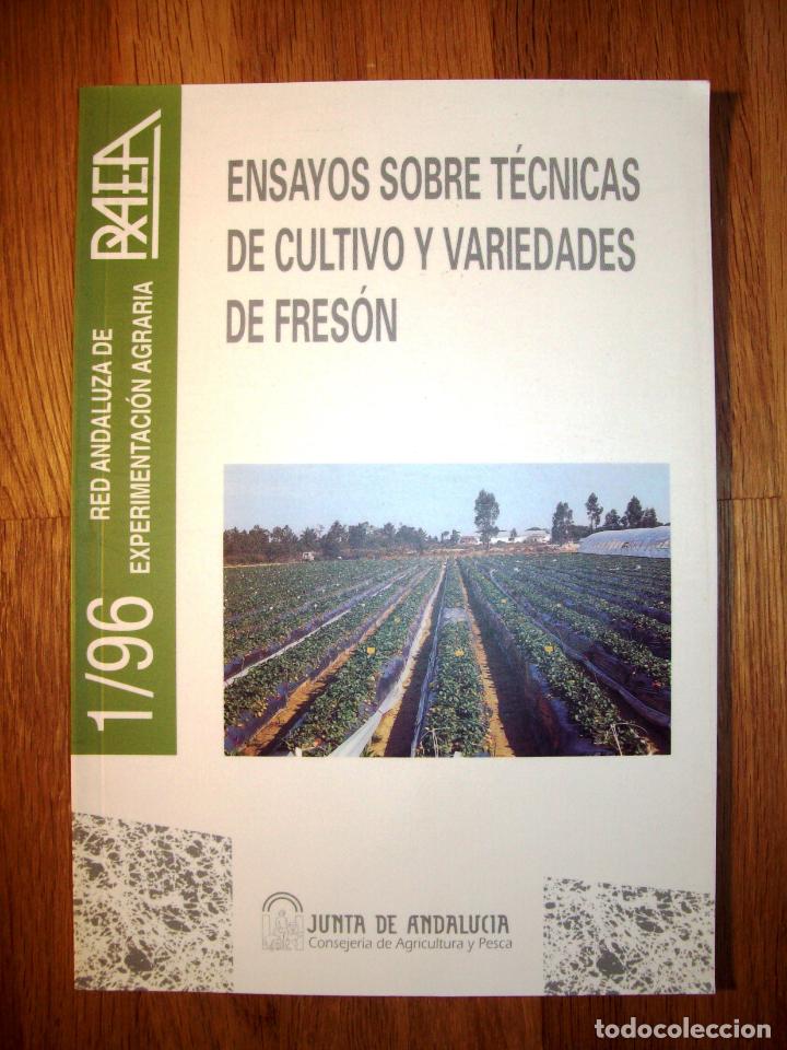 Second hand books: ENSAYOS sobre t&eacute;cnicas de cultivo y variedades de fres&oacute;n. (RAEA : Red Andaluza de Experimentaci&oacute;n Ag