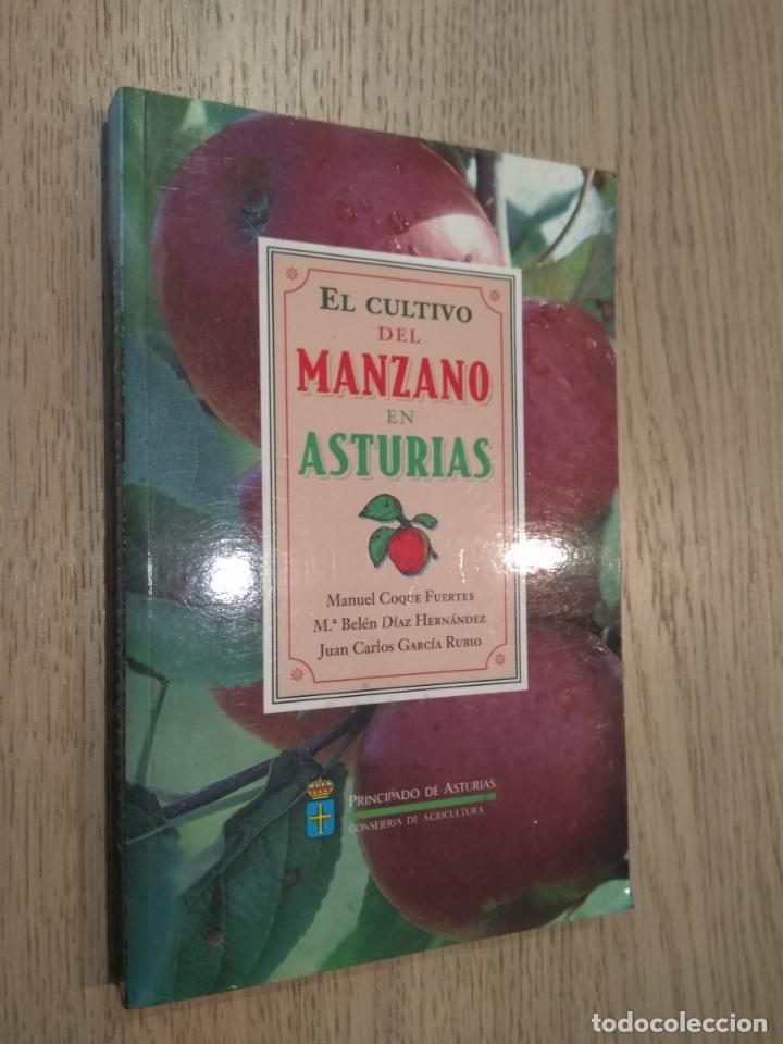 Libros de segunda mano: EL CULTIVO DEL MANZANO EN ASTURIAS. VVAA 1996 - Foto 1