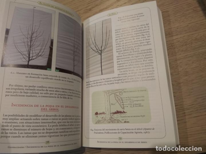 Libros de segunda mano: EL CULTIVO DEL MANZANO EN ASTURIAS. VVAA 1996 - Foto 2