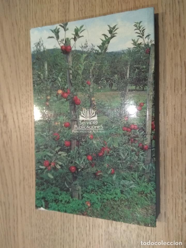 Libros de segunda mano: EL CULTIVO DEL MANZANO EN ASTURIAS. VVAA 1996 - Foto 3