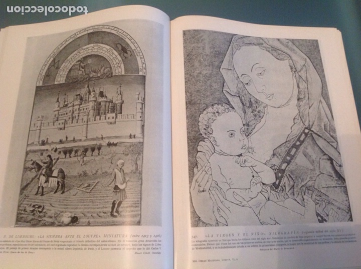 Libros de segunda mano: MIL OBRAS MAESTRAS DEL ARTE UNIVERSAL. INSTITUTO Gallach - Foto 18