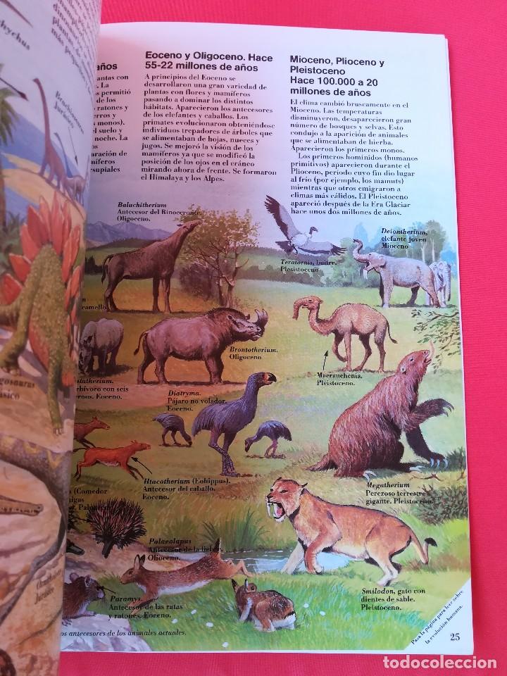 Libros de segunda mano: PLESA EL JOVEN CIENT&Iacute;FICO - EL LIBRO DE LA EVOLUCI&Oacute;N - Foto 7