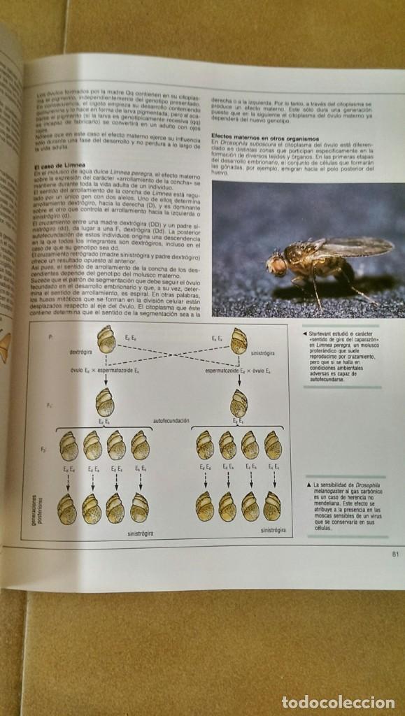 Libros de segunda mano: ENCICLOPEDIA TEM&Aacute;TICA. CIENCIAS DE LA VIDA. - Foto 5