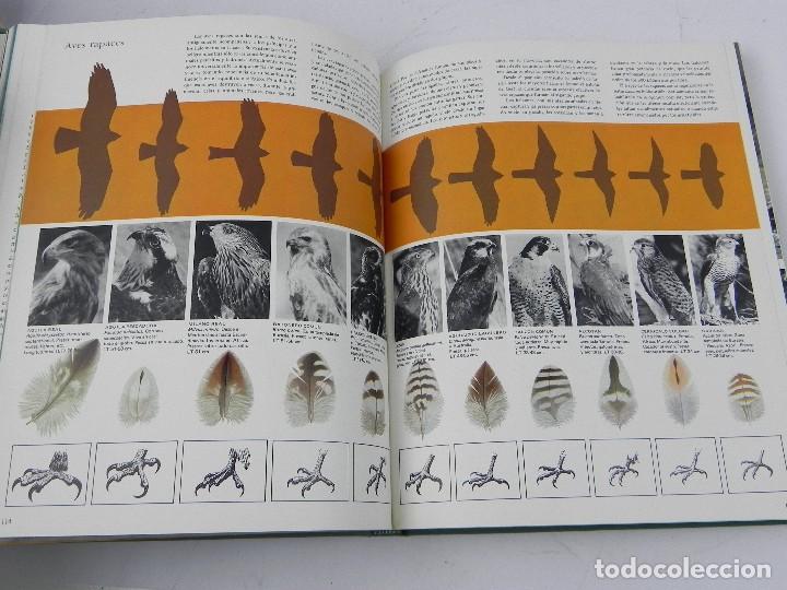 Foto adicional 2