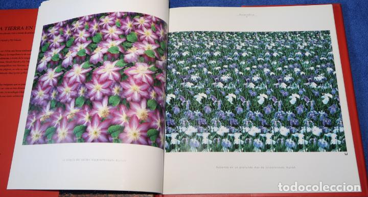 Libros de segunda mano: La tierra en 3D - Hiroshi Kunoh - Blume (1994) - Foto 4