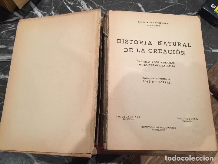 Libros de segunda mano: Libro Historia natural de la creaci&oacute;n - Foto 3