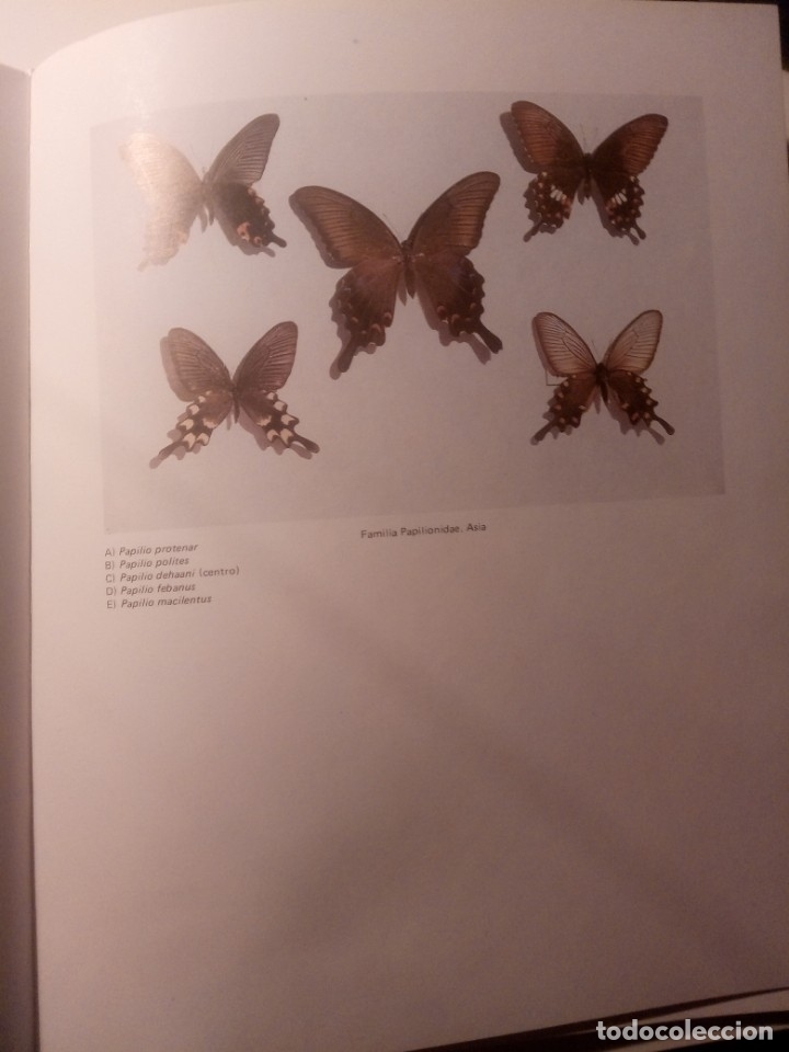 Libros de segunda mano: CAT&Aacute;LOGO .  Abril 1985 - Foto 2
