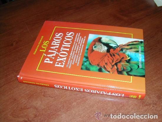 Libros de segunda mano: LOS P&Aacute;JAROS EX&Oacute;TICOS (GISMONDI, E.) EDIT. DE VECCHI - Foto 2