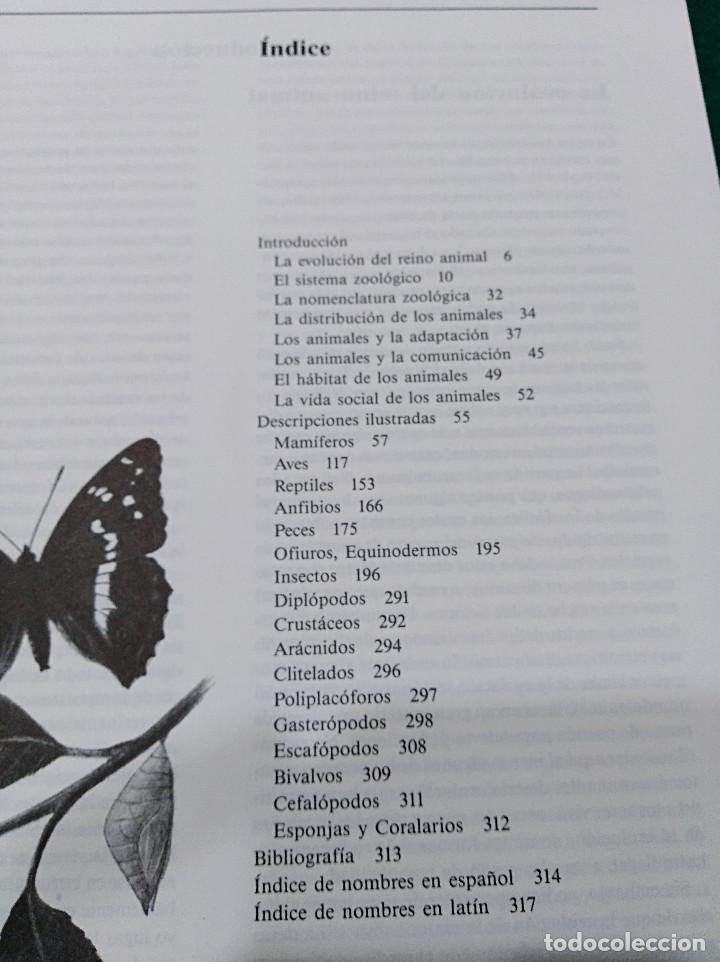 Libros de segunda mano: OCASI&Oacute;N - EL GRAN LIBRO DE LOS ANIMALES - NUEVO - 1982 - Foto 4