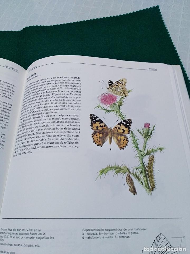 Libros de segunda mano: OCASI&Oacute;N - EL GRAN LIBRO DE LOS ANIMALES - NUEVO - 1982 - Foto 5
