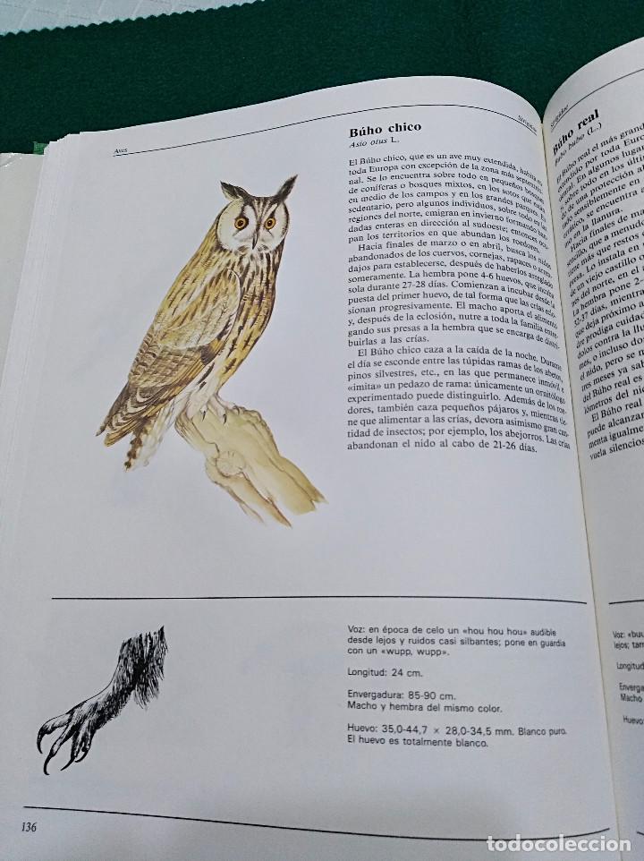 Libros de segunda mano: OCASI&Oacute;N - EL GRAN LIBRO DE LOS ANIMALES - NUEVO - 1982 - Foto 6