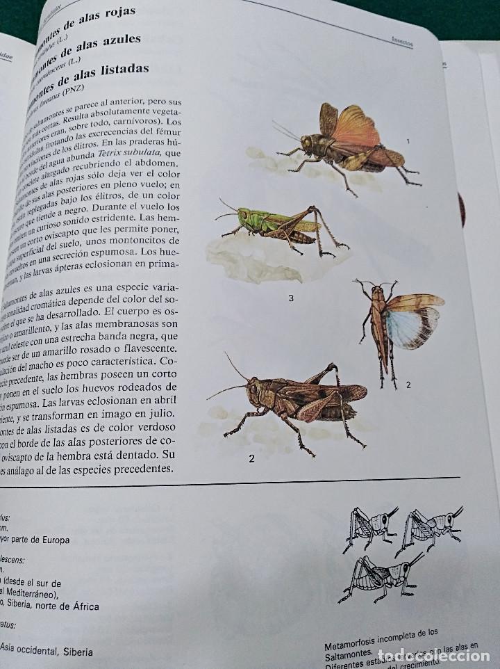 Libros de segunda mano: OCASI&Oacute;N - EL GRAN LIBRO DE LOS ANIMALES - NUEVO - 1982 - Foto 7