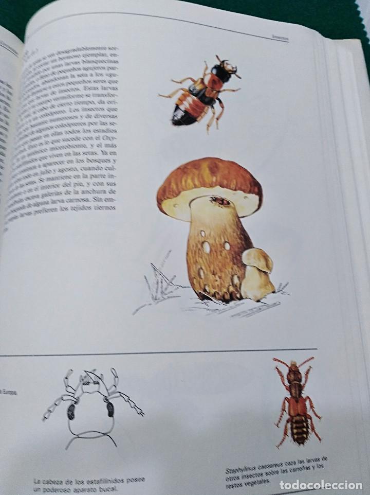 Libros de segunda mano: OCASI&Oacute;N - EL GRAN LIBRO DE LOS ANIMALES - NUEVO - 1982 - Foto 8