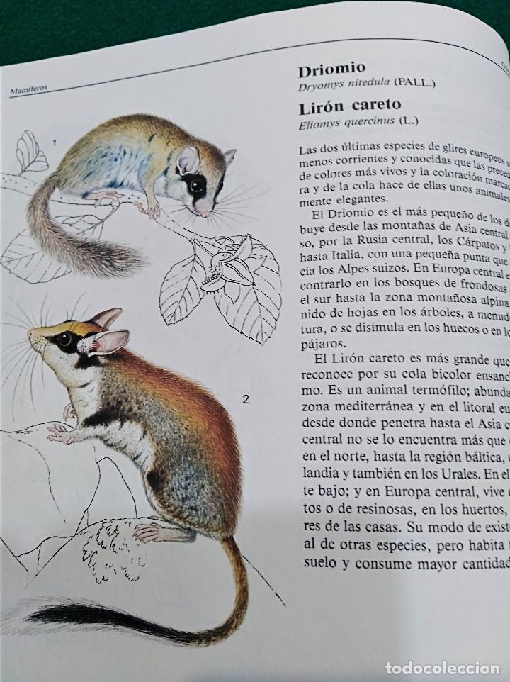 Libros de segunda mano: OCASI&Oacute;N - EL GRAN LIBRO DE LOS ANIMALES - NUEVO - 1982 - Foto 9