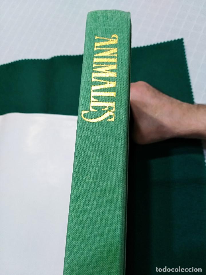 Libros de segunda mano: OCASI&Oacute;N - EL GRAN LIBRO DE LOS ANIMALES - NUEVO - 1982 - Foto 12