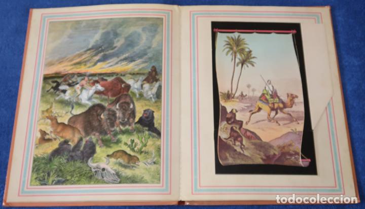 Libros de segunda mano: El gran Zoo - Montena (1981) - Foto 3