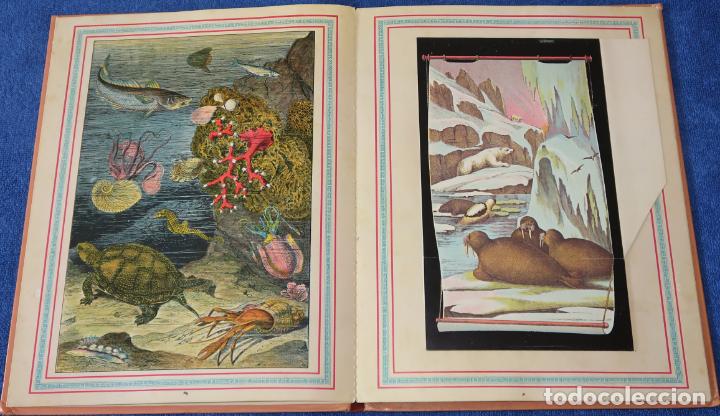 Libros de segunda mano: El gran Zoo - Montena (1981) - Foto 5