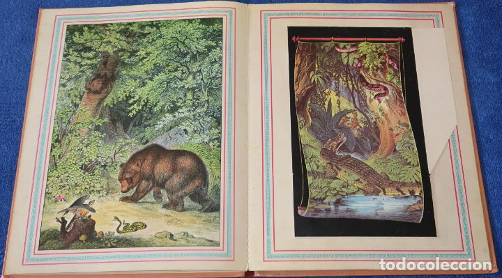 Libros de segunda mano: El gran Zoo - Montena (1981) - Foto 7