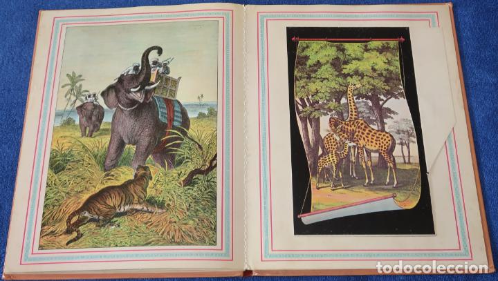 Libros de segunda mano: El gran Zoo - Montena (1981) - Foto 11