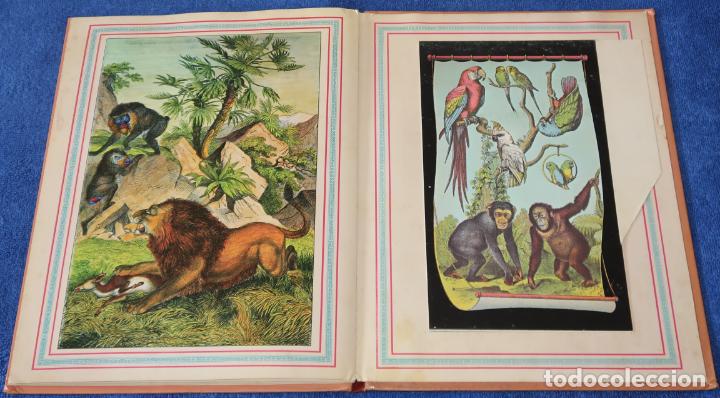 Libros de segunda mano: El gran Zoo - Montena (1981) - Foto 14