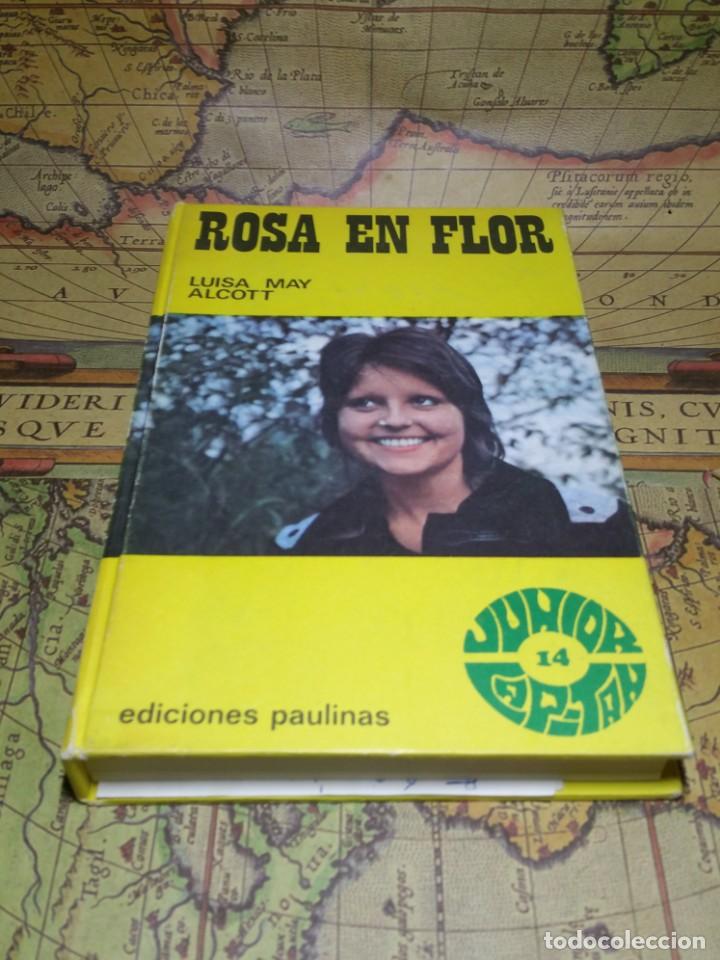 Libros de segunda mano: ROSA EN FLOR- LUISA MAY ALCOTT - Foto 1