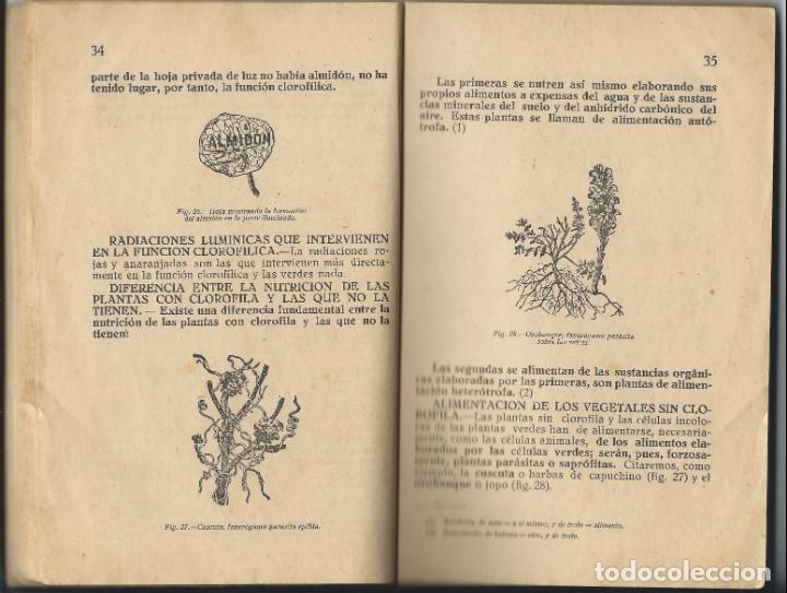 Libros de segunda mano: Ciencias Cosmol&oacute;gicas - Foto 3