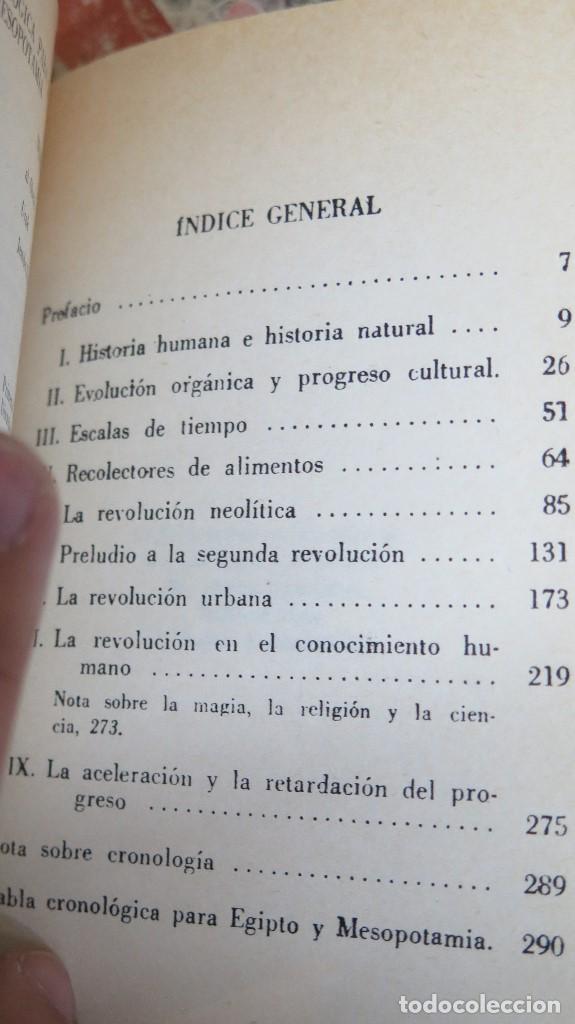 Libros de segunda mano: Los or&iacute;genes de la civilizaci&oacute;n. CHILDE - Foto 3