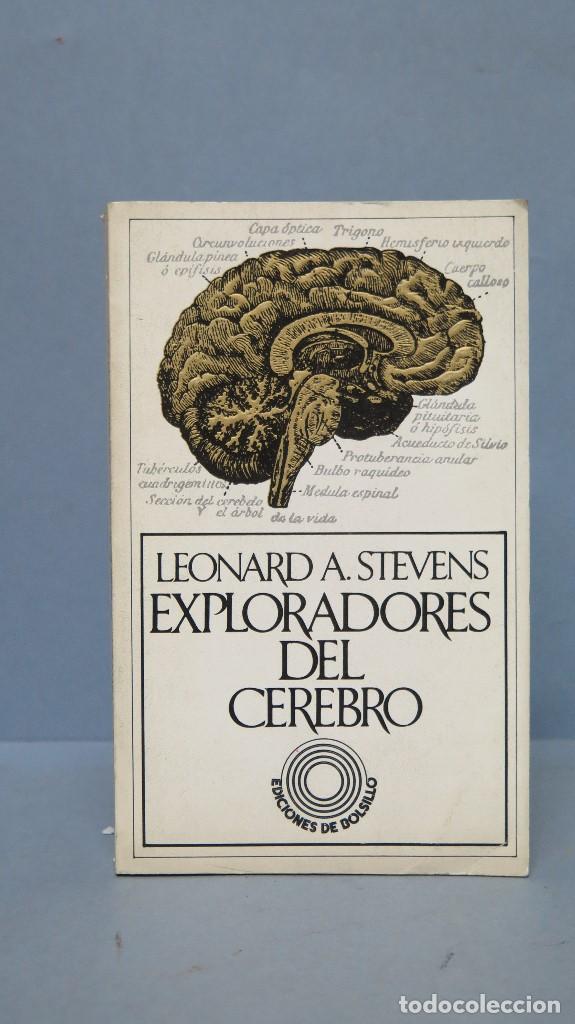 Libros de segunda mano: Exploradores del cerebro. LEONARD A. STEVENS - Foto 1