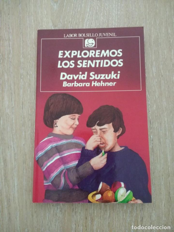 Libros de segunda mano: LIBRO &laquo;EXPLOREMOS LOS SENTIDOS&raquo;. DAVID SUZUKI/BARBARA HEHNER. EDITORIAL LABOR JUVENIL - Foto 1