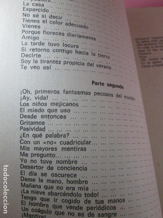 Libros de segunda mano: LIBRO-AS PEDRAS ARMEIRAS-XOSÉ ANTÓN GARCÍA GONZÁLEZ LEDO-CATÁLOGO/INVENTARIO DE CULLEREDO - Foto 9 - 135276894