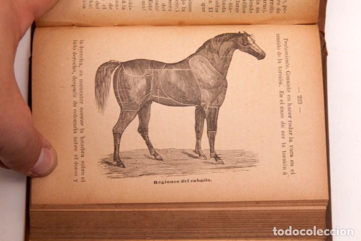 Libros de segunda mano: FRANCISCO DARDER - MANUAL PR&Aacute;CTICO DE VETERINARIA - CONSERVA EL DESPLEGABLE - Foto 6