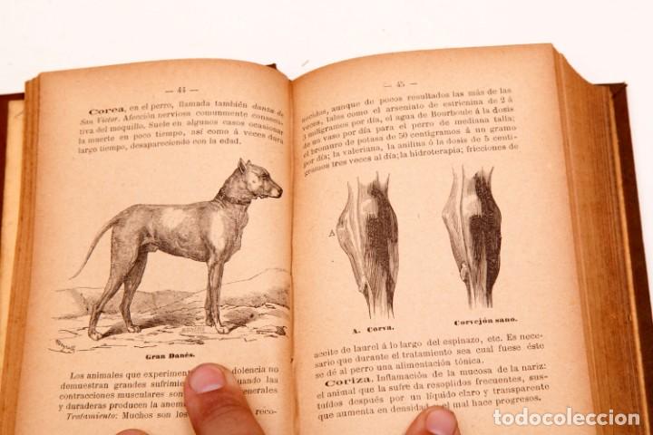 Libros de segunda mano: FRANCISCO DARDER - MANUAL PR&Aacute;CTICO DE VETERINARIA - CONSERVA EL DESPLEGABLE - Foto 8