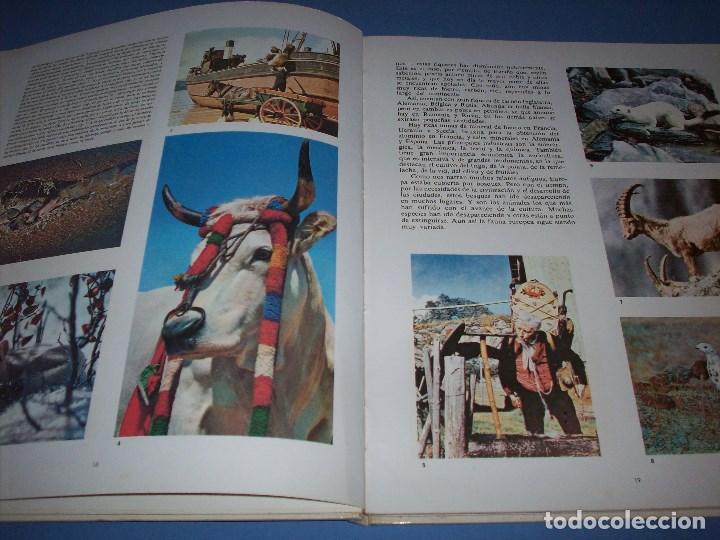 Libros de segunda mano: el mundo de walt disney de gaisa - Foto 2