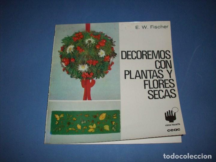 Libros de segunda mano: como hacerlo con ceac, decoremos con plantas y flores secas - Foto 1