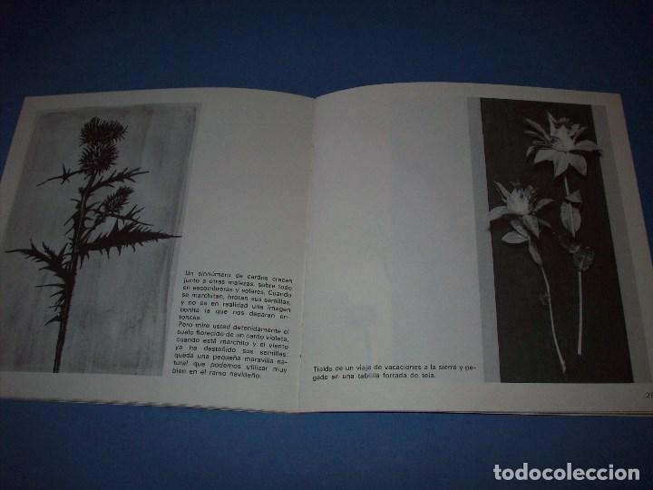 Libros de segunda mano: como hacerlo con ceac, decoremos con plantas y flores secas - Foto 2