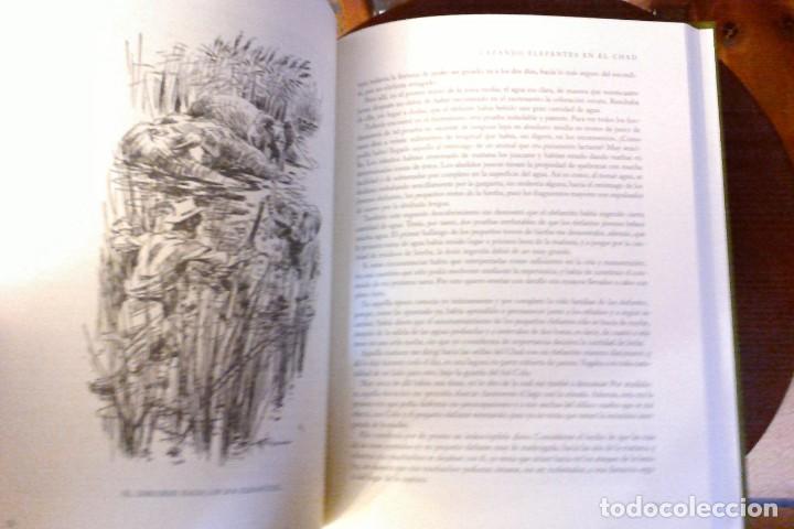 Libros de segunda mano: Cazando elefantes en el Chad, Heinrich Oberjohann - Foto 2