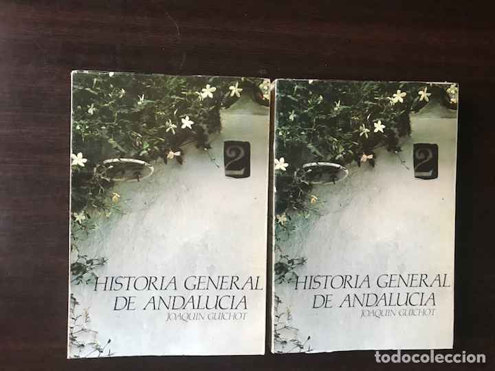Libros de segunda mano: Historia general de Andaluc&iacute;a. Joaqu&iacute;n Guichot. Dos libros. - Foto 1